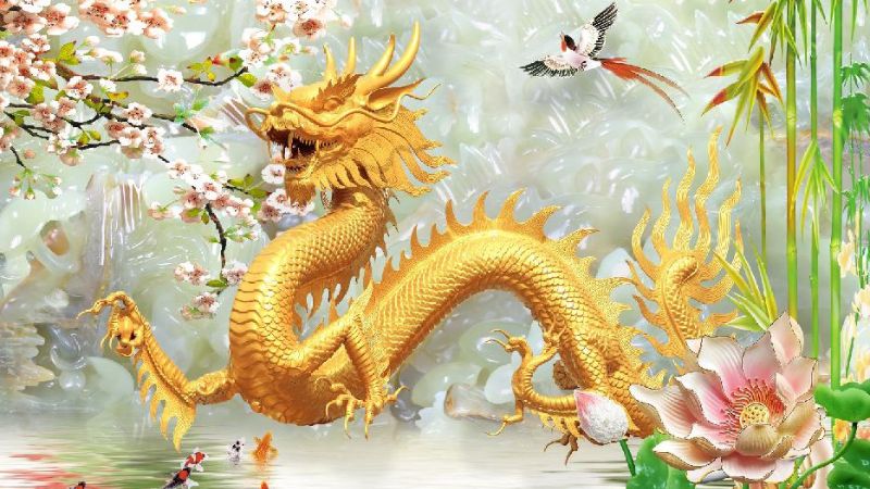 Viettel khuyến mãi đăng ký lắp cáp quang mới nhất năm 2024